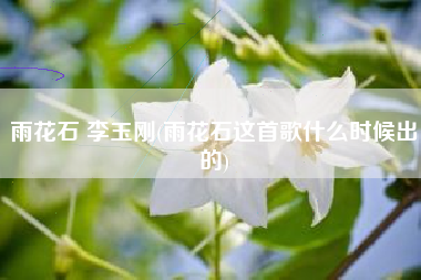 雨花石 李玉刚(雨花石这首歌什么时候出的)