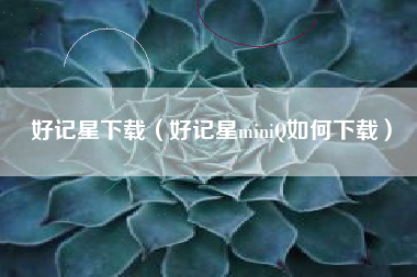 好记星下载（好记星miniQ如何下载）