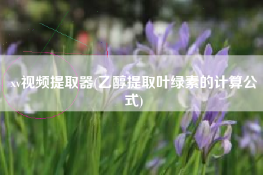 xv视频提取器(乙醇提取叶绿素的计算公式)