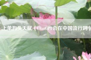 上单狗头天赋（ChatGPT会在中国流行吗）