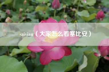 saivian（大家怎么看塞比安）