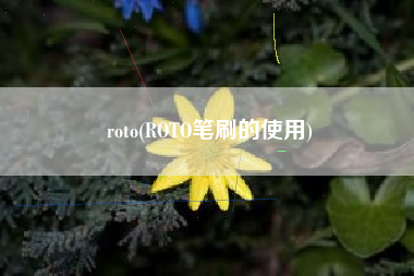 roto(ROTO笔刷的使用)