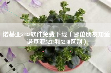 诺基亚5233软件免费下载（哪位朋友知道诺基亚5233和5230区别）