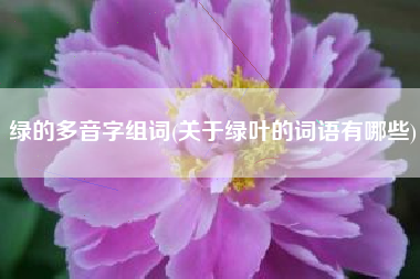 绿的多音字组词(关于绿叶的词语有哪些)