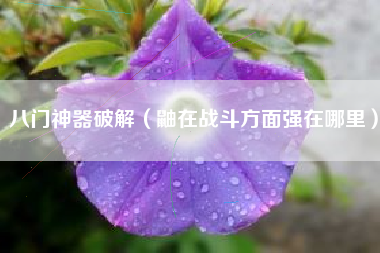 八门神器破解（鼬在战斗方面强在哪里）