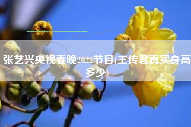 张艺兴央视春晚2022节目(王传君真实身高多少)