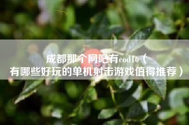 成都那个网吧有cod16（
有哪些好玩的单机射击游戏值得推荐）