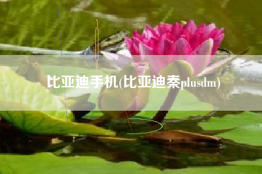 比亚迪手机(比亚迪秦plusdm)