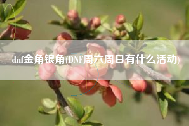 dnf金角银角(DNF周六周日有什么活动)