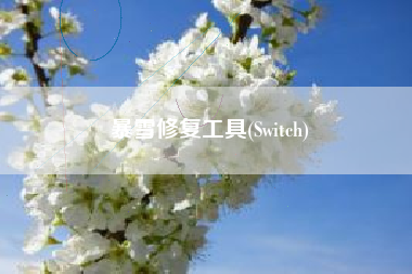 暴雪修复工具(Switch)