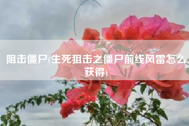 阻击僵尸(生死狙击之僵尸前线风雷怎么获得)