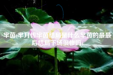 芈茵(芈月传芈茵结局是什么芈茵的最最后结局下场很惨吗)