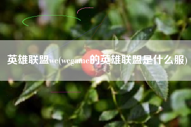 英雄联盟we(wegame的英雄联盟是什么服)