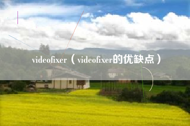 videofixer（videofixer的优缺点）