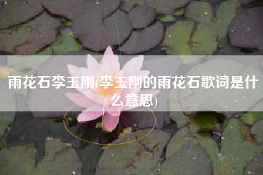 雨花石李玉刚(李玉刚的雨花石歌词是什么意思)