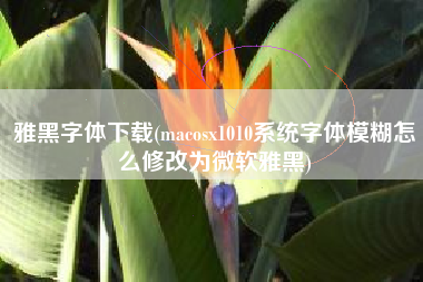 雅黑字体下载(macosx1010系统字体模糊怎么修改为微软雅黑)