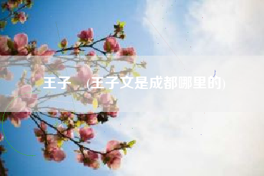 王子芠(王子文是成都哪里的)