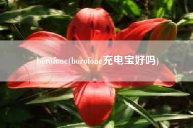 borofone(borofone充电宝好吗)