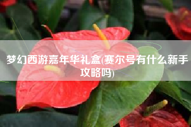 梦幻西游嘉年华礼盒(赛尔号有什么新手攻略吗)