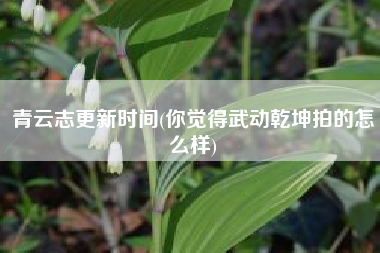 青云志更新时间(你觉得武动乾坤拍的怎么样)