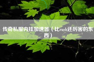 传奇私服内挂加速器（比rush还厉害的东西）