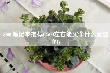 3000笔记本推荐(2500左右能买个什么配置的)