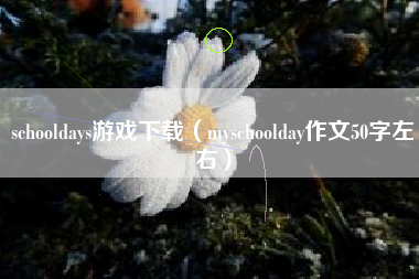 schooldays游戏下载（myschoolday作文50字左右）