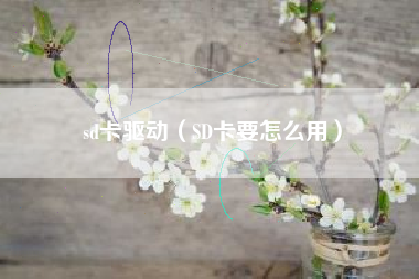 sd卡驱动（SD卡要怎么用）