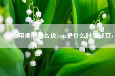 CETV1电视上怎么找(cetv是什么时候成立)