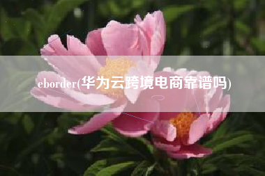 eborder(华为云跨境电商靠谱吗)