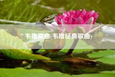 韦唯歌曲(韦唯经典歌曲)