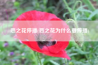 恶之花停播(恶之花为什么要停播)