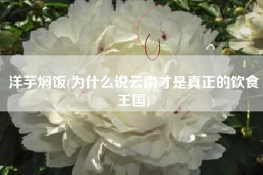 洋芋焖饭(为什么说云南才是真正的饮食王国)