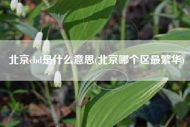 北京cbd是什么意思(北京哪个区最繁华)