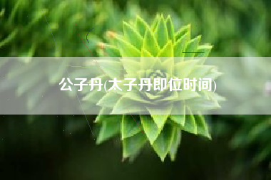 公子丹(太子丹即位时间)