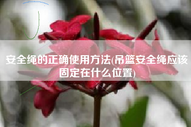 安全绳的正确使用方法(吊篮安全绳应该固定在什么位置)