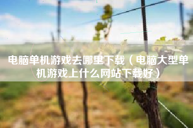 电脑单机游戏去哪里下载（电脑大型单机游戏上什么网站下载好）