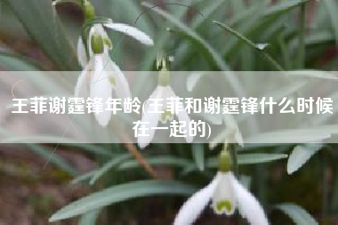 王菲谢霆锋年龄(王菲和谢霆锋什么时候在一起的)