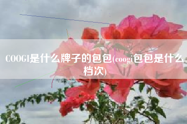 COOGI是什么牌子的包包(coogi包包是什么档次)