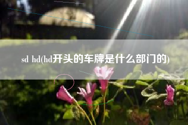 sd hd(hd开头的车牌是什么部门的)