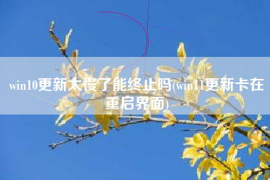 win10更新太慢了能终止吗(win11更新卡在重启界面)