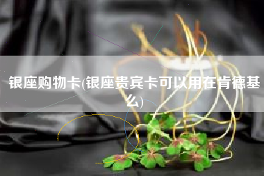 银座购物卡(银座贵宾卡可以用在肯德基么)