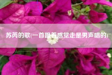 苏芮的歌(一首跟着感觉走是男声唱的)