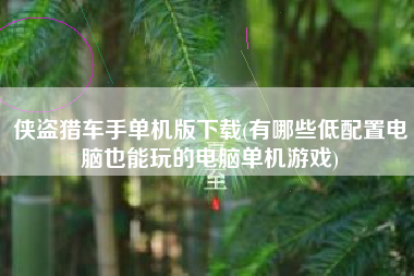 侠盗猎车手单机版下载(有哪些低配置电脑也能玩的电脑单机游戏)