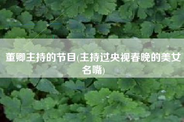 董卿主持的节目(主持过央视春晚的美女名嘴)