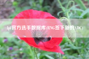 lpl官方选手数据库(RNG签下新的ADC)