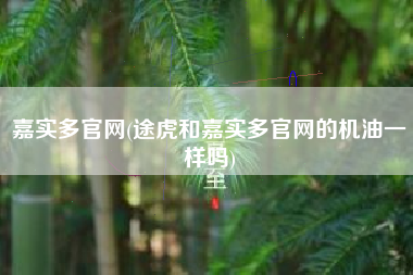 嘉实多官网(途虎和嘉实多官网的机油一样吗)