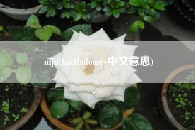 mju(bartholomey中文意思)