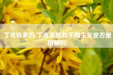 丁克族多吗(丁克家族和不婚主义是否是明智的)