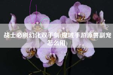 战士必刷幻化双手剑(魔域手游源兽副宠怎么用)